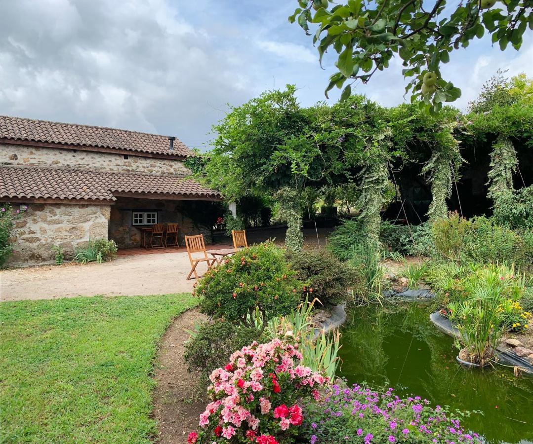 Quinta do Crasto- Casa de Campo Amarante Exterior foto